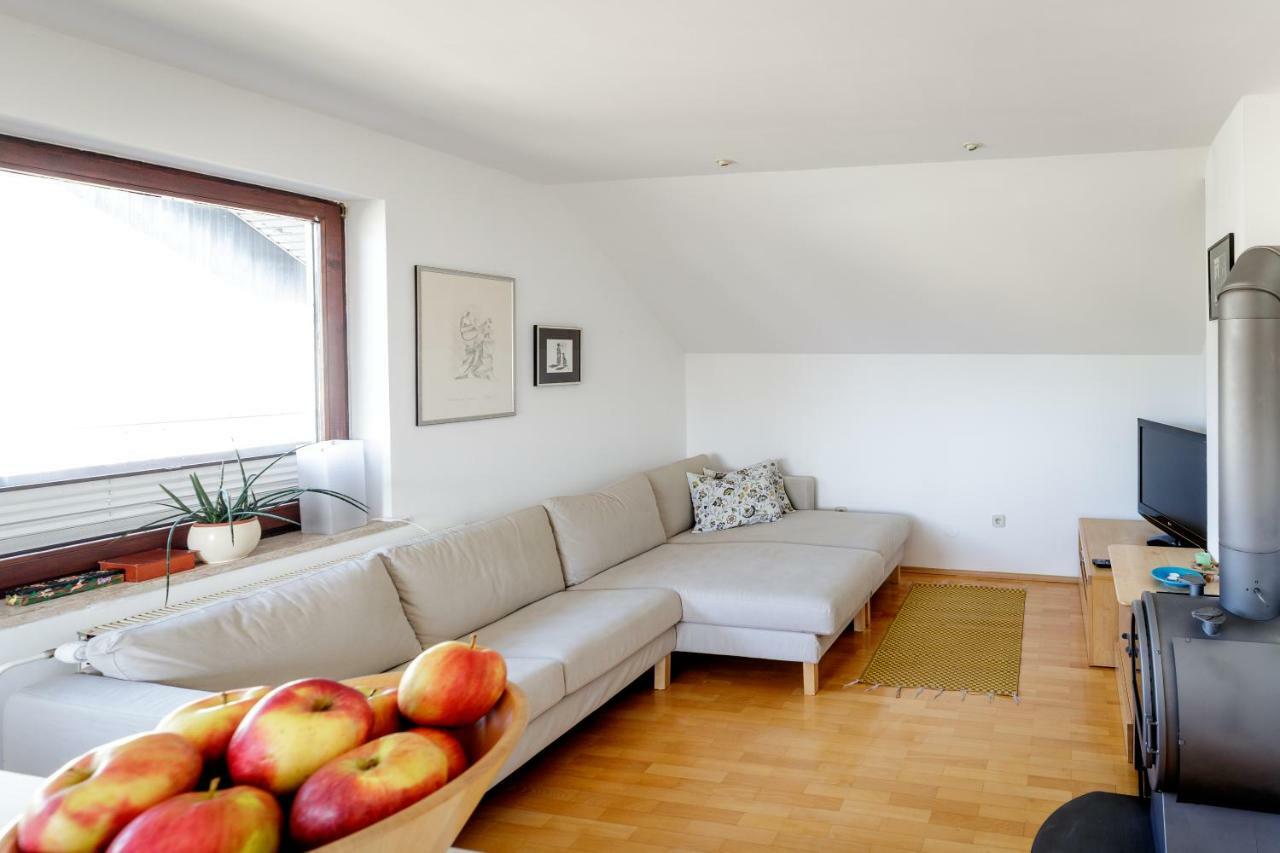 Cosy & Spacious Apt. Benc 지로브니차 외부 사진