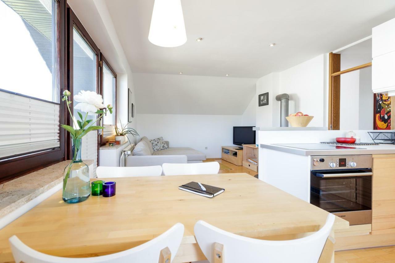 Cosy & Spacious Apt. Benc 지로브니차 외부 사진
